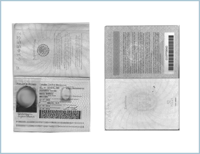 copia pasaporte lazos
